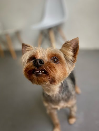 Negocio Estilo Belda