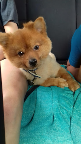 Estima'ls De Can Ventolà