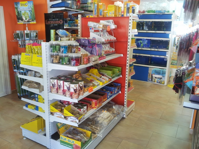 Negocio Fidus Mascotas Y Peluqueria Canina