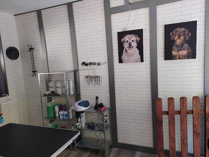 Flepican Peluquería Canina