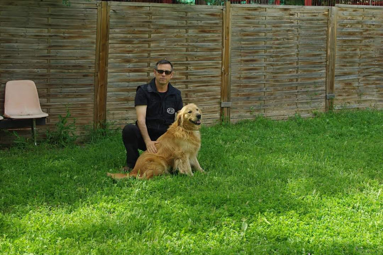 Negocio Fv Smell Pro