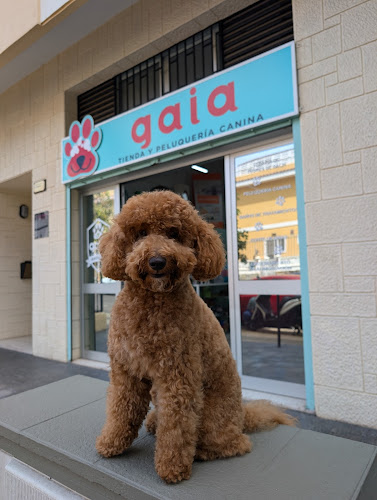 Negocio Gaia Tienda Y Peluquería Canina