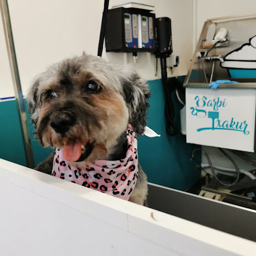 Negocio Garbitxakur Amara. Autolavado De Mascotas Y Peluquería Canina.
