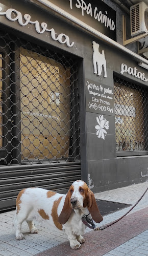 Garraypatas Peluqueria Y Spa Canino