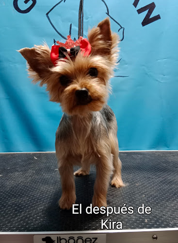 Negocio Gatycan Peluquería Canina