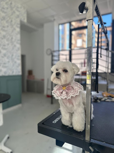 Negocio Glamdog Salón Canino