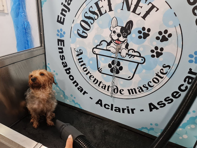 Negocio Gosset Net