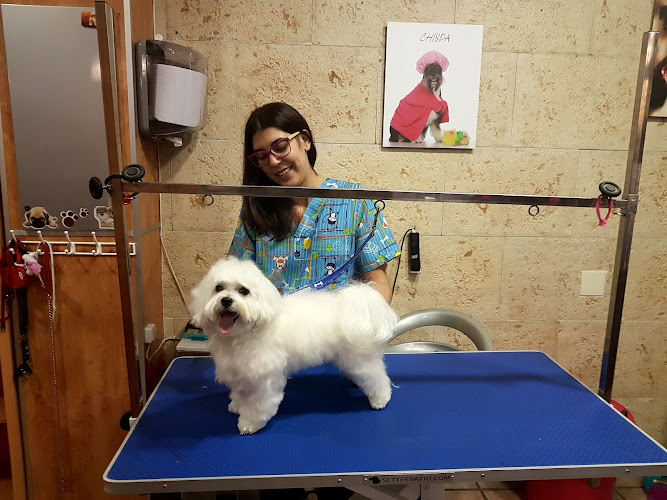 Negocio Gossets Peluquería Canina Petrer