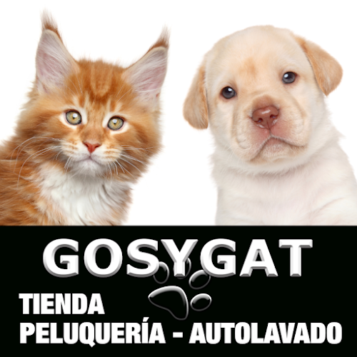 Gosygat (Marta Rodriguez)