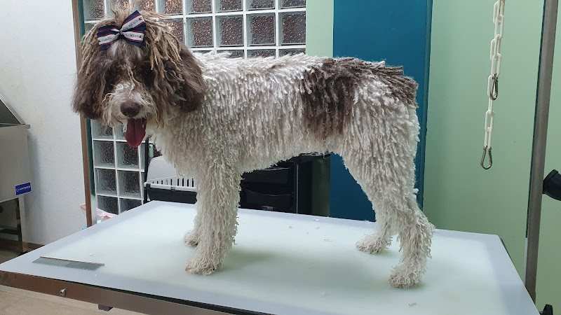 Negocio Grüber's Peluqueria Canina Pinseque