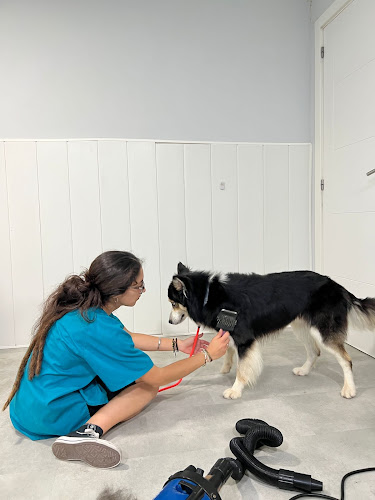 Negocio Helios Centro Veterinario Y Estética