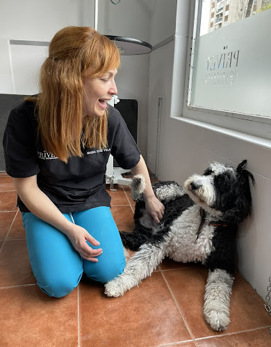 Hospital Veterinario Privet Aluche