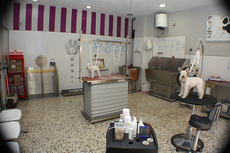 Negocio Huellacanina.com