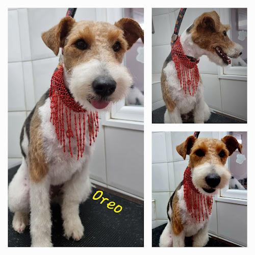 Negocio Huellas Peluqueria Canina