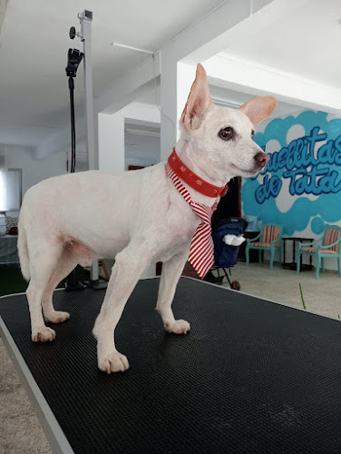 Negocio Huellitas De Tata