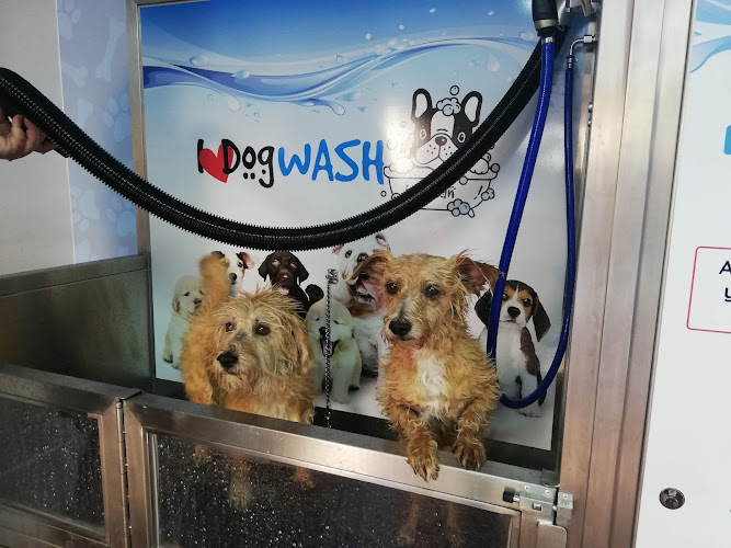 Negocio I Love Dog Wash Calafell - Peluquería Canina Y Autolavado