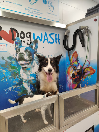 Negocio I Love Dog Wash | Figueruelas - Autolavado De Mascotas Y Peluquería Canina
