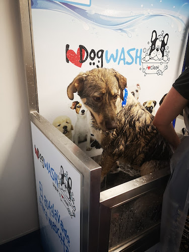 Negocio I Love Dog Wash Reus Autolavado De Mascotas