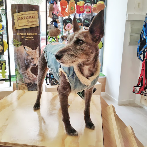 Kelpie Servicios Caninos