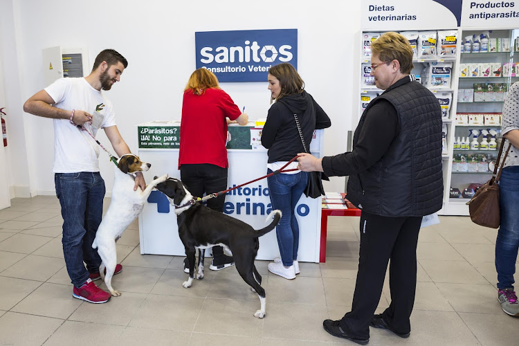 Kiwoko. Mundo Animal