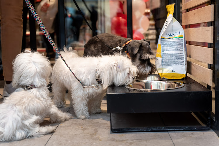 Negocio Kiwoko. Mundo Animal