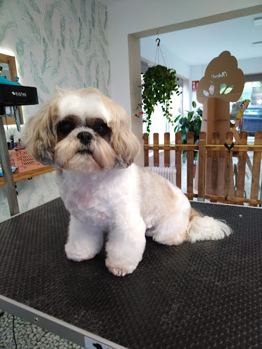 Negocio La Bañera De Eva · Peluquería Canina Santander