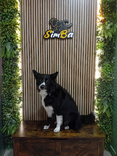 Negocio La Boutique De Simba