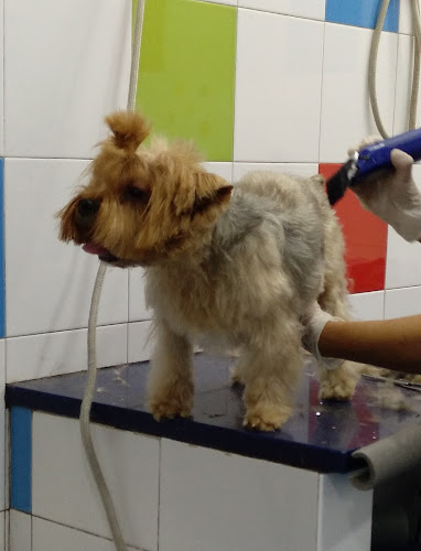 Negocio La Casita De Aurora