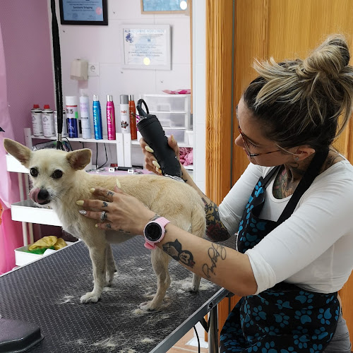 Negocio La Huella Rosa