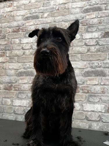 Negocio La Nueva Maltesa