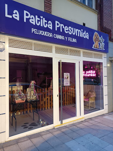 Negocio La Patita Presumida