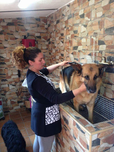 Negocio La Pelu De Menta