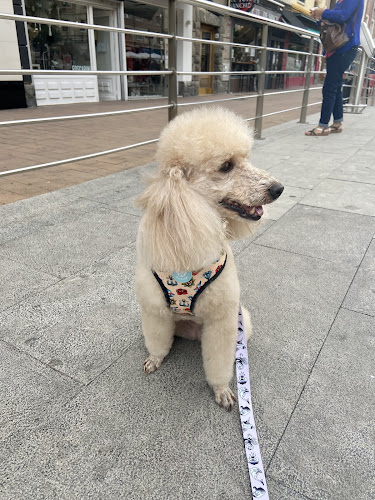 Negocio La Perrukería