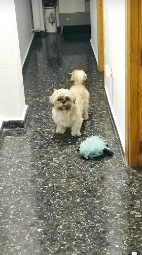 Negocio La Perruqueria By Cielos Pina