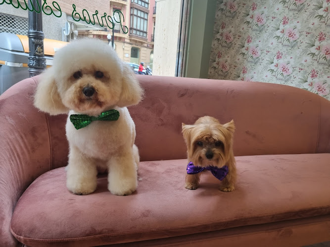 Negocio Lady Can Perros Estilosos