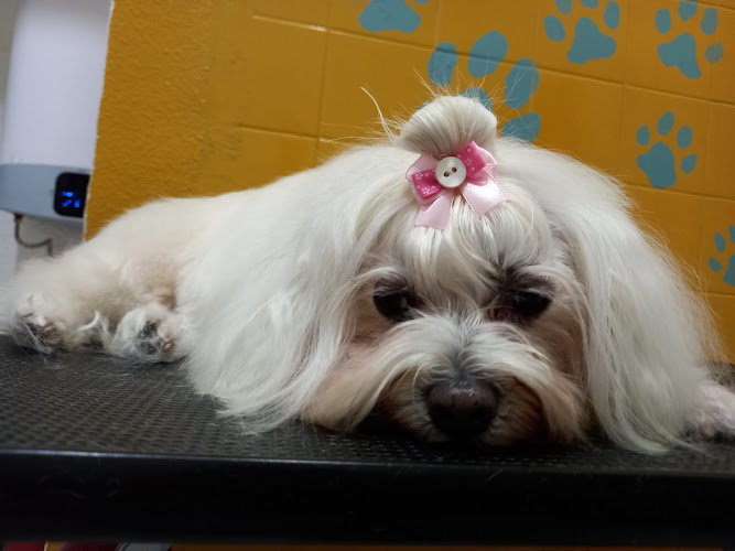 Negocio Las Huellas De Cuca