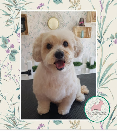 Negocio Las Huellas De Noah. Peluquería & Estética Canina