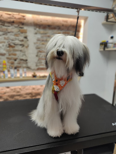 Lieupet | Peluquería Canina Y Tienda Granada