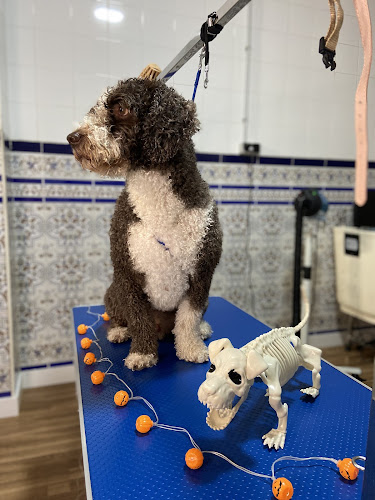 Negocio Limacan Dog Grooming