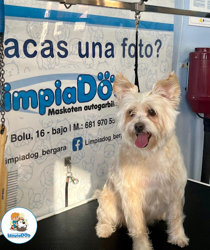 Negocio Limpiadog Bergara