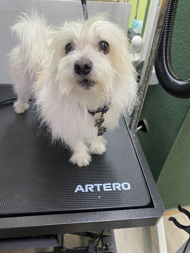 Los Perruqueros De Arganzuela