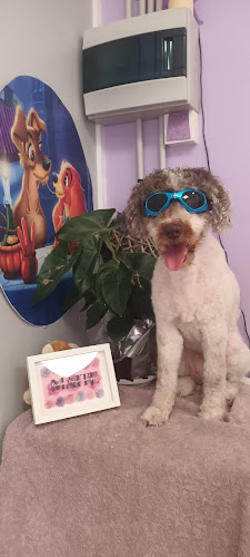 Negocio Maite Perales Peluquería Canina