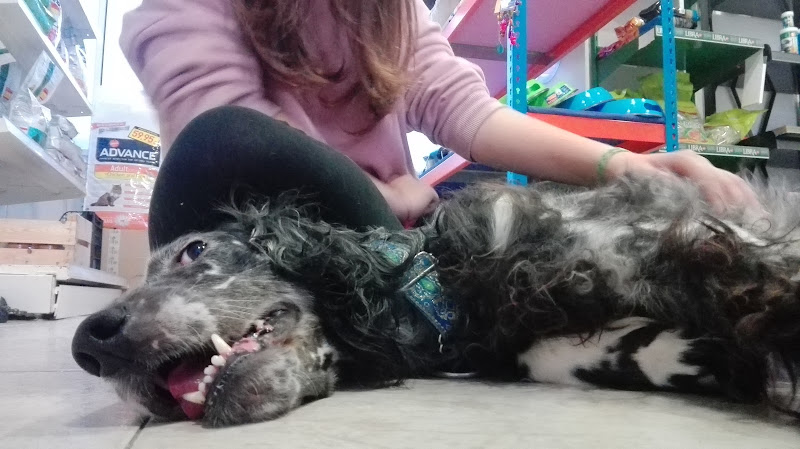 Negocio Manada Feliz