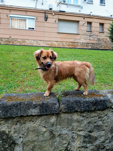 Negocio Mas Can Pumarin - Tienda Y Peluqueria Canina Y Felina