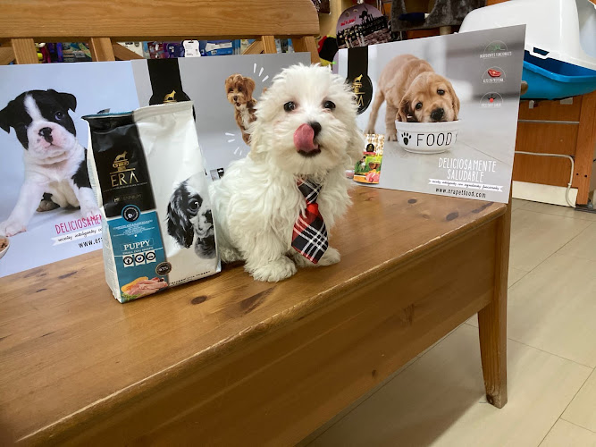 Negocio Más Que Perros