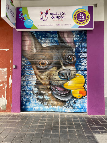 Mascota Limpia | Autolavado Para Perros