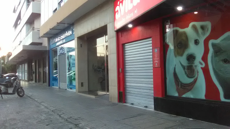 Negocio Mascotas Ávila Cadiz Asdrúbal