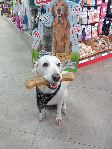 Negocio Mascotas Ávila Cádiz Centro