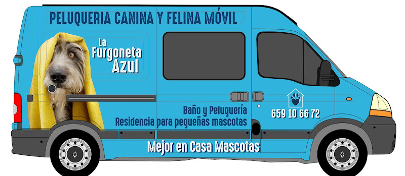 Negocio Mejor En Casa Mascotas