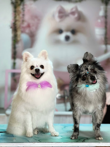 Negocio Miss Pom Grooming (Peluquería Canina)